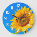 Search for sunflower clocks Botanical