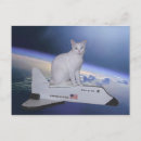 Search for astronaut cat postcards Cats