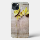 Search for smart photography Collection