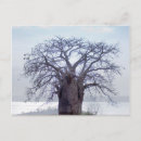 Search for luanda postcards City