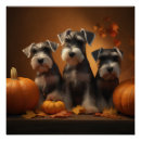 Search for schnauzer puppy posters Animal