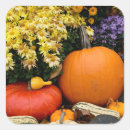 Search for fall vegetable stickers Autumn