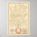 Search for new york posters Railroad