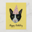 Search for tuxedo cat invitations Black and white cat
