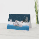 Search for swans christmas cards Nature