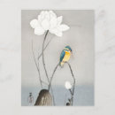 Search for flower postcards Bird