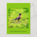 Search for robin invitations Nature
