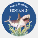 Search for blue birthday stickers Funny