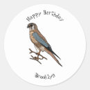 Search for kestrel stickers Bird