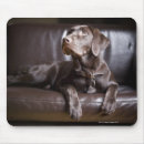 Search for sofa mouse mats Animal