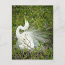 Search for posing postcards Photograph