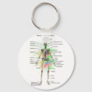 Search for anatomy key rings Bones
