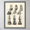 Search for foot posters Vintage