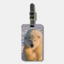 Search for polar bear luggage tags Fauna