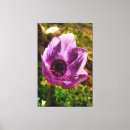 Search for gorgeous canvas prints Nature