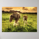 Search for foal posters Grass