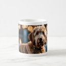 Search for labradoodles mugs Cute