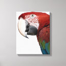 Search for side view canvas prints Nature