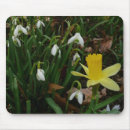 Search for daffodils mouse mats Nature