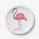 Search for flamingo plates Watercolor
