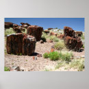 Search for logging posters Logs