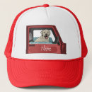 Search for lab” hats For pets