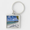 Search for mauritius key rings Palm tree
