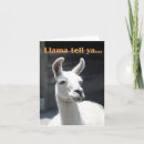 Search for telling cards Humour