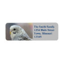 Search for parakeet return address labels Budgie