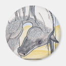 Search for dappled magnets Mare