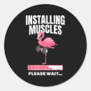 Search for installer stickers Fitness