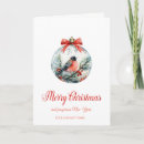 Search for red cardinal bird christmas cards Pine tree