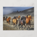Search for herding stamps postcards Animal