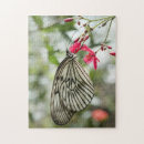 Search for rice paper Nature