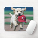 Search for golden retriever puppy mouse mats Cute