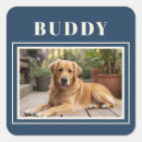 Search for dog photo stickers Elegant