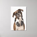 Search for headphones canvas prints Studio shot