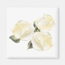 Search for thorns magnets Nature