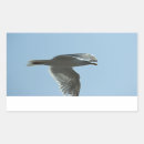 Search for flying seagull stickers Wings