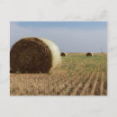 Search for route 66 Nostalgia