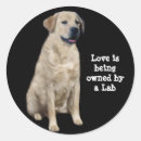 Search for golden retriever mom stickers Labrador