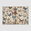 Search for grungy Parchment