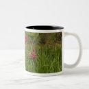 Search for charleston south carolina mugs Flower