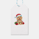 Search for maltipoo crafts party Dogs