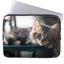 Search for looking at camera cases Photography