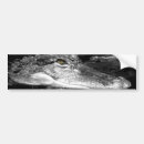 Search for gators bumper stickers Animal