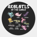 Search for axolotl stickers Lover