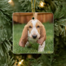 Search for walk christmas tree decorations Puppy