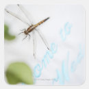 Search for dragonfly design stickers Nature