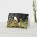 Search for cow get well cards Sick